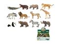 12PCS 5寸彩绘野生动物